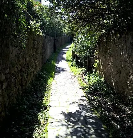 بيت للعطل La Collina Del Sole