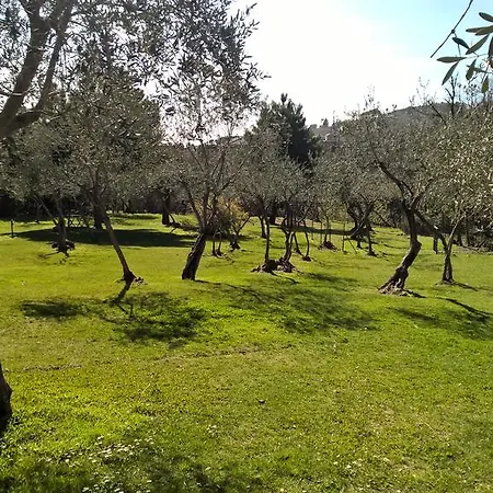 La Collina Del Sole * לריצ'י